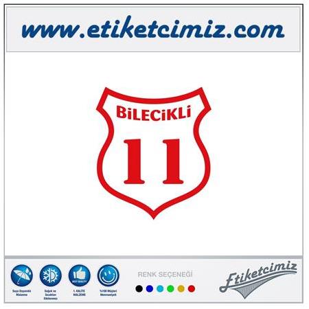 11 Bilecikli Renkli Sticker