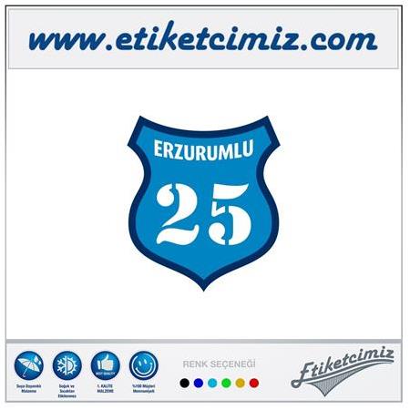 25 Erzurumlu Renkli Sticker